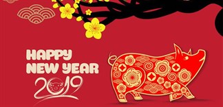 Điểm danh những con giáp đếm tiền không hết trong năm 2019