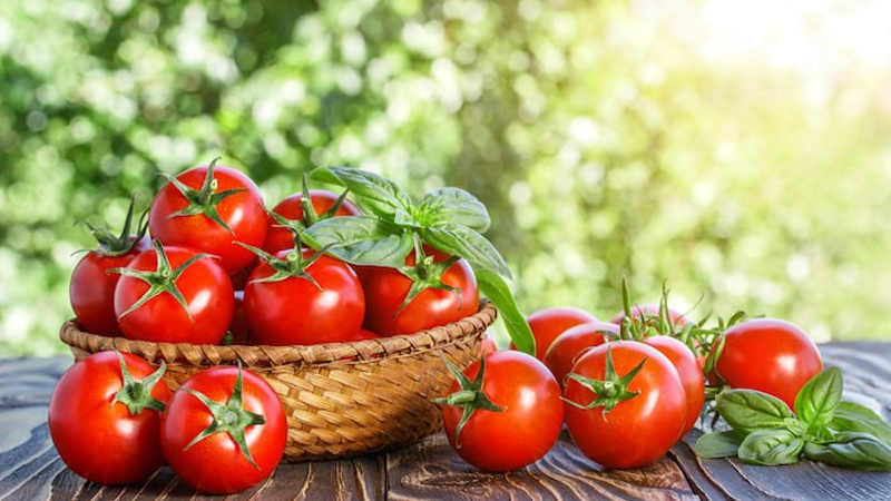 Ăn nhiều cà chua giúp giảm cân nhanh sau Tết