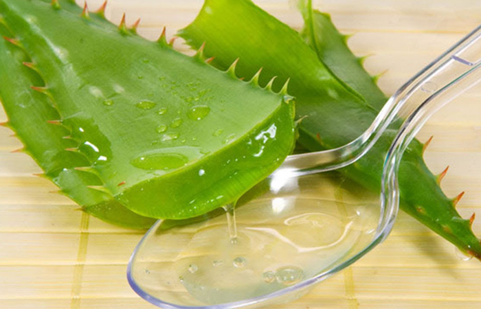 Mẹo trị mụn do ăn nhiều thức ăn ngọt trong tết với các nguyên liệu thiên nhiên Trị mụn bằng nha đam