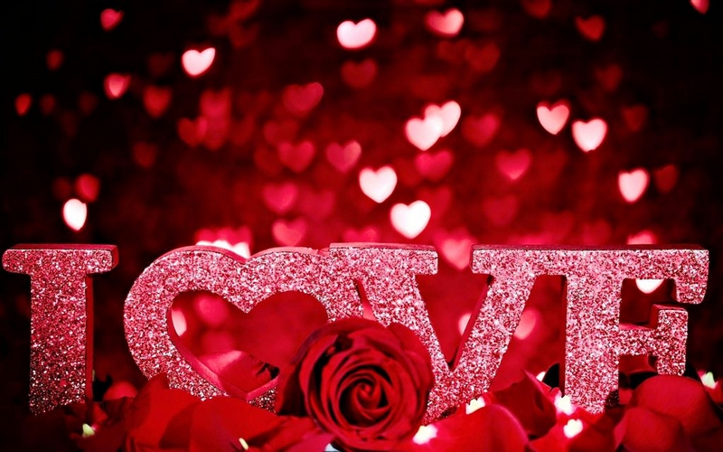 hình ảnh  hình nền lý lịch yêu Valentine ngày lễ tình nhân lễ tình  nhân Trái tim Đỏ bản văn phông chữ Thiết kế sản phẩm Cánh hoa nhãn  hiệu 5456x3632 