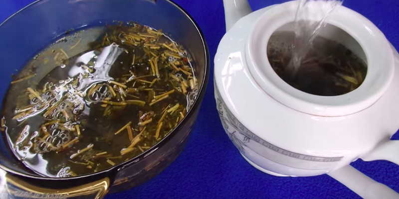 Đun sôi 800ml nước, khi nước đã sôi thì tắt bếp và cho trà vào ngâm trong vòng 20 phút để chất trà ra. Đun sôi 800ml nước, khi nước đã sôi thì tắt bếp và cho trà vào ngâm trong vòng 20 phút để chất trà ra.