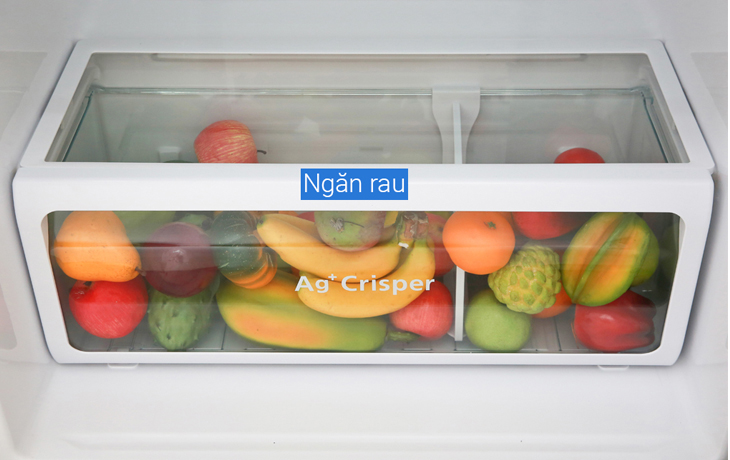 ngăn rau củ kháng khuẩn Đánh giá tổng quan bộ đôi tủ lạnh mặt gương Toshiba Inverter 555 lít GR-AG58VA (X) > ngăn rau củ kháng khuẩn