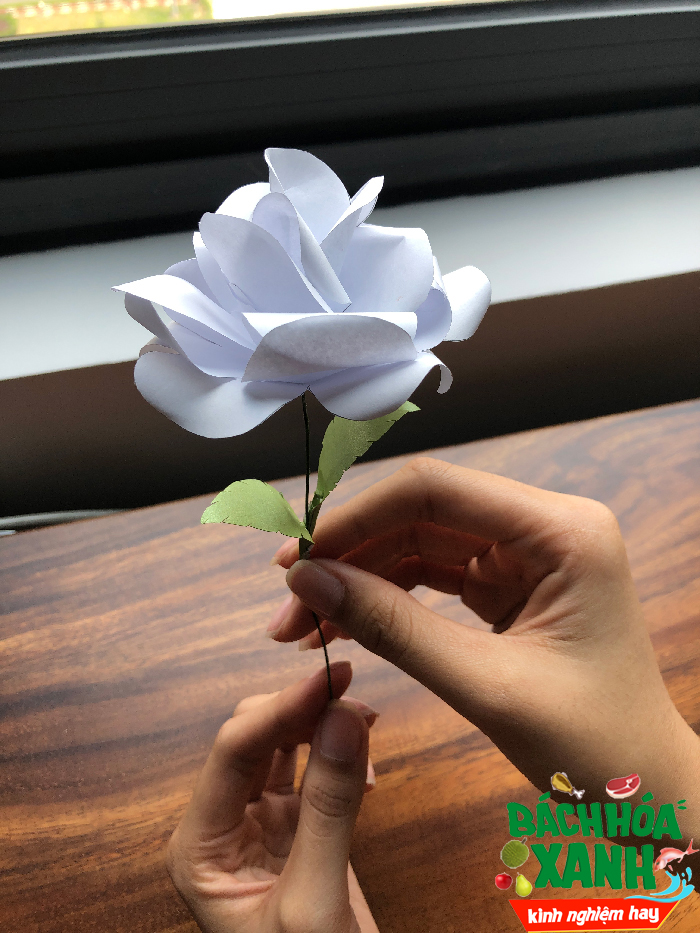 Hoa hồng bằng giấy cực đẹp tặng người yêu