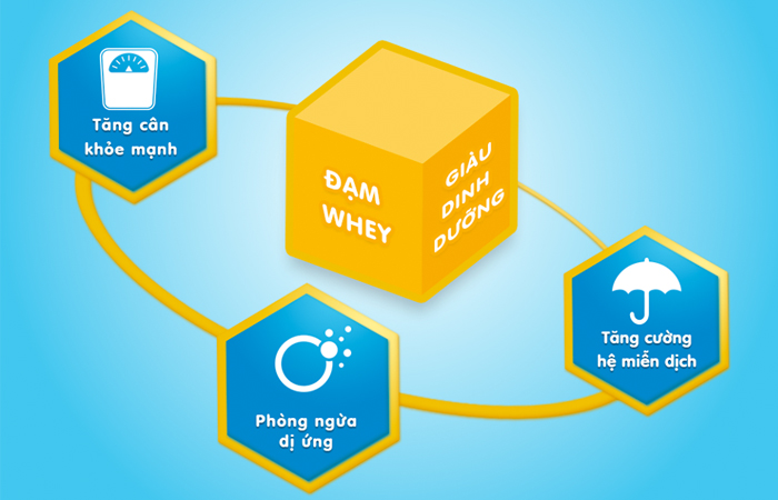 Đạm whey là gì? Vai trò và nguồn thực phẩm bổ sung đạm whey cho cơ thể