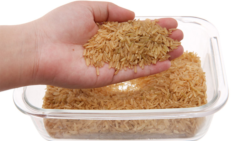 What is vibigaba sprout rice? Health benefits of vibigaba sprout rice