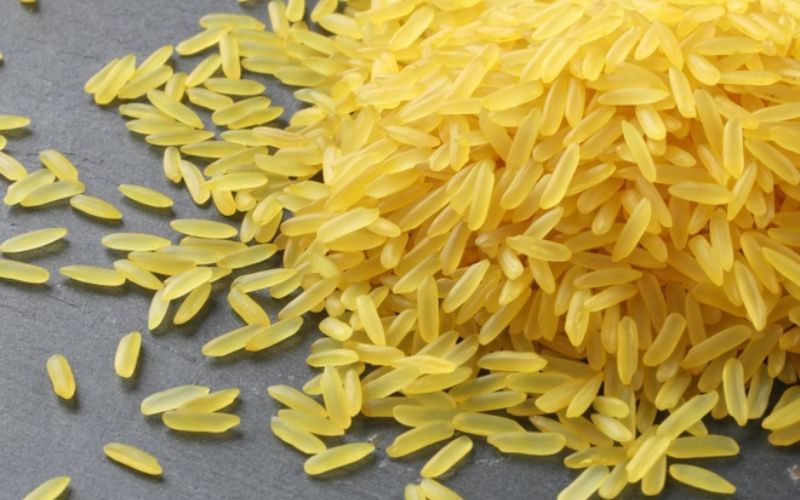 Giá trị dinh dưỡng của gạo mầm Vibigaba