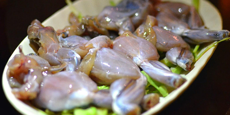 Thịt ếch Thịt ếch