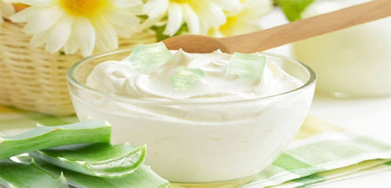 1 hộp sữa chua nha đam bao nhiều calo?