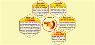 Công thức Gain pro là gì? Công dụng của Gain pro và có trong dòng sữa nào?