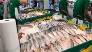 Chứng nhận điều kiện an toàn vệ sinh thực phẩm mặt hàng thủy hải sản