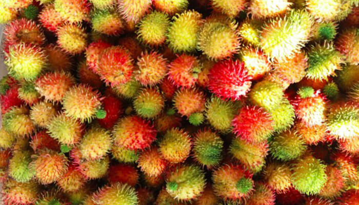 Rambutan Nhãn