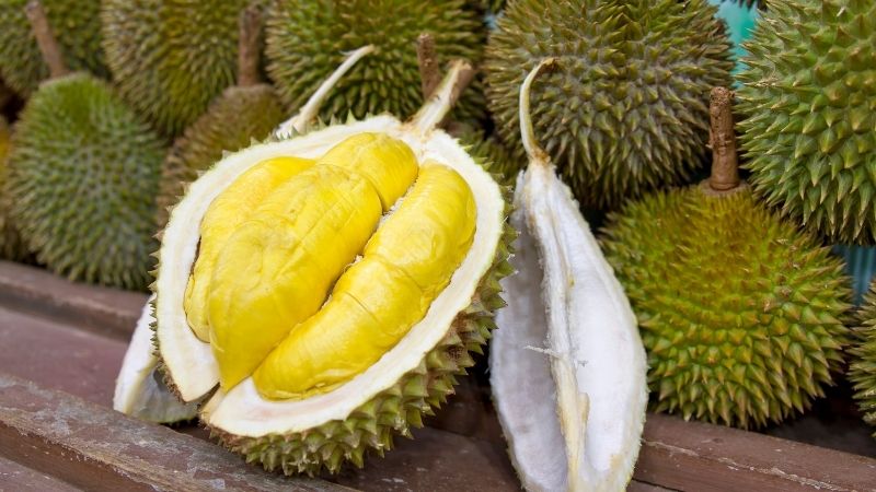 Thai durian (Dona durian)