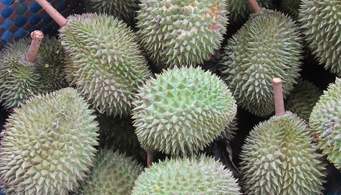 Bitter melon durian