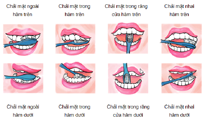 Đánh răng đúng cách và những lưu ý trong khi đánh răng Đánh răng đúng cách và những lưu ý trong khi đánh răng