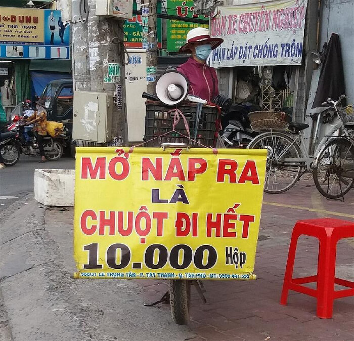 'Mở nắp ra chuột đi hết' có thật như vậy và đâu là cách đuổi chuột hiệu quả?