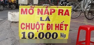 'Mở nắp ra chuột đi hết' có thật như vậy và đâu là cách đuổi chuột hiệu quả?