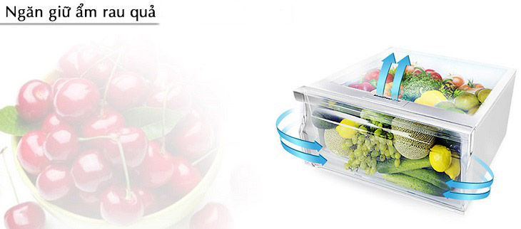 Ngăn Moist zone trong tủ lạnh ngăn đá dưới aqua 2019 5 tiện ích đáng lưu ý của dòng tủ lạnh Aqua ngăn đá dưới 2019 > Ngăn Moist zone trong tủ lạnh ngăn đá dưới aqua 2019