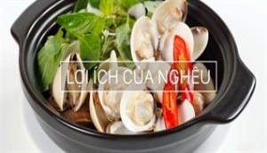 Thích ăn nghêu nhưng không phải ai cũng biết lợi ích từ nghêu đối với sức khoẻ