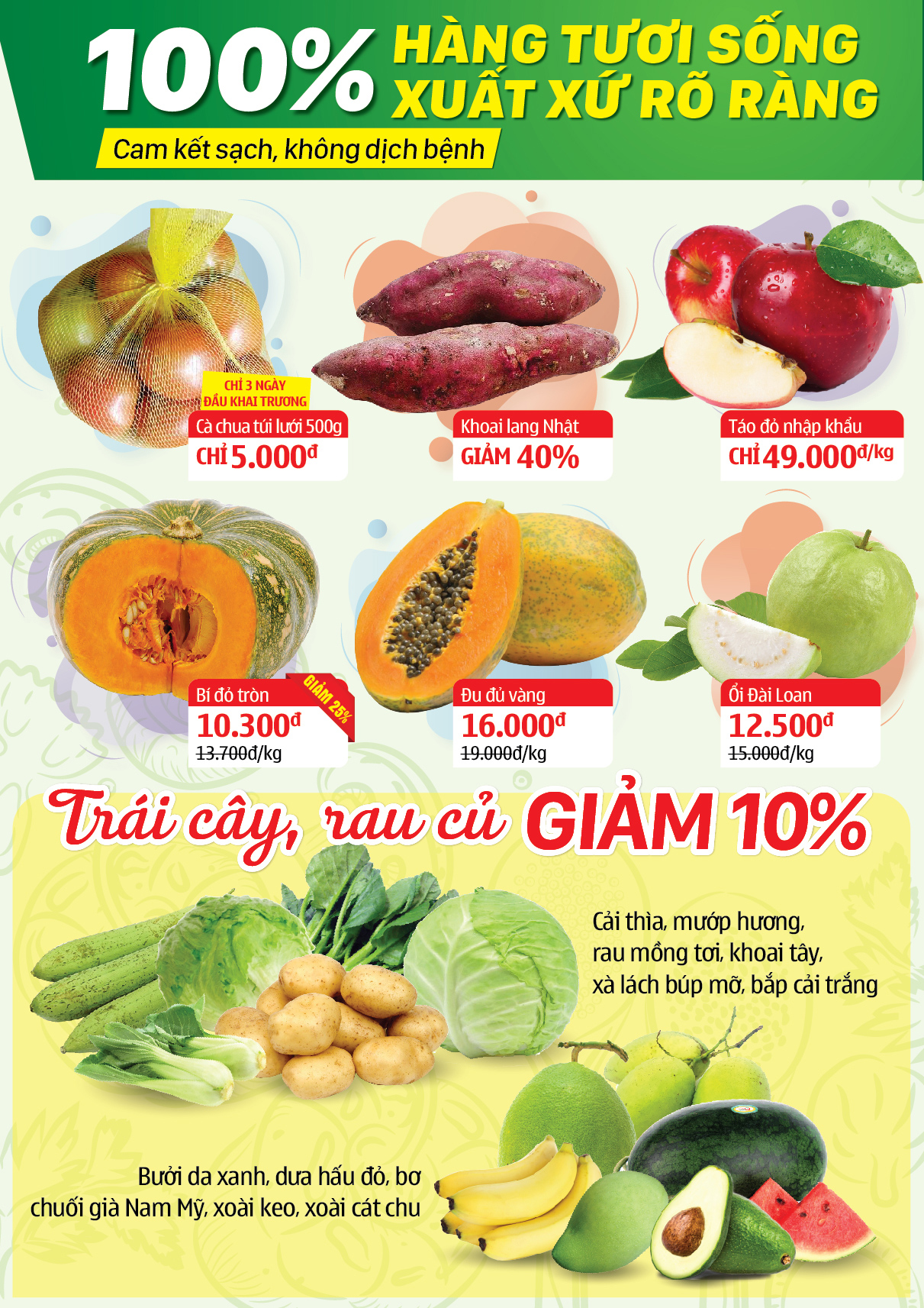 Siêu thị Bách hoá XANH 159 Ấp Chiến Lược khai trương 30/03/2019