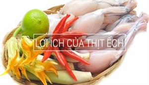 Lợi ích của thịt ếch đối với sức khoẻ