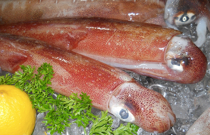 Cách chọn mực tươi ngon