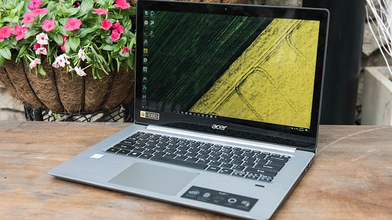 Acer Acer