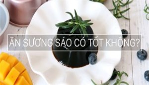 Ăn nhiều sương sáo có tốt không?