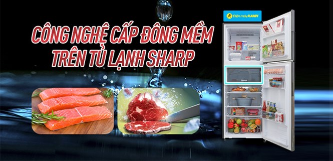 Công nghệ cấp đông mềm trên tủ lạnh Sharp là gì? Cách sử dụng thế nào?