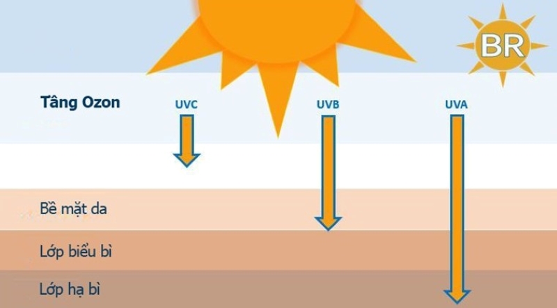 Tia UV và tác hại của tia UV