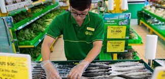 Hành trình chưa đầy 48h từ cảng biển tới bàn ăn của cá biển tại Bách hóa Xanh