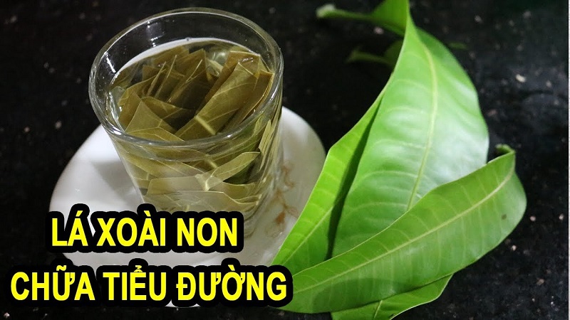 Công Dụng Chữa Bệnh Ít Người Biết Từ Lá Xoài Non