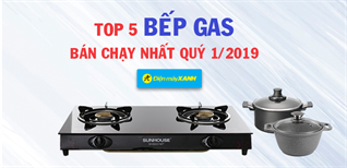 Top 5 bếp gas bán chạy nhất Điện máy XANH quý 1/2019