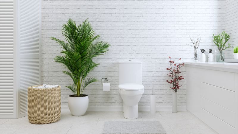 Dùng toilet hợp lý