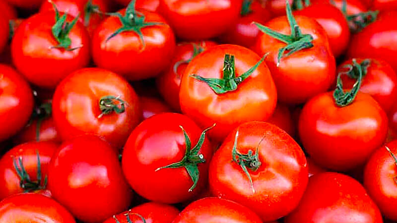 Cách “cứu” làn da bị cháy nắng nhanh chóng và đơn giản với 1 quả cà chua