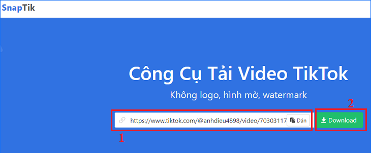 Dán link video TikTok bạn vừa sao chép và chọn download