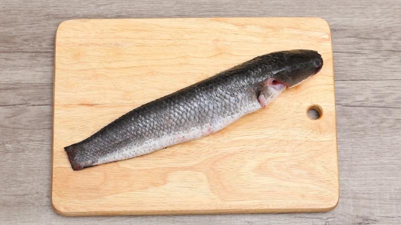 Longdien-brvt.edu.vn: Đại siêu thị bán cá lóc giá tốt nhất