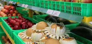 Bán trái cây lớn nhất thị trường nhờ những điểm 'không giống ai' BHX
