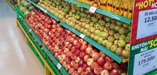 Vốn tiết kiệm là thế nhưng bà nội trợ vẫn 'bạo chi' cho trái cây nhập khẩu