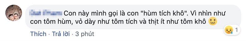 Tôm hùm đất là món ăn bị chê thậm tệ nhất trong các loại tôm Tôm hùm đất là món ăn bị chê thậm tệ nhất trong các loại tôm