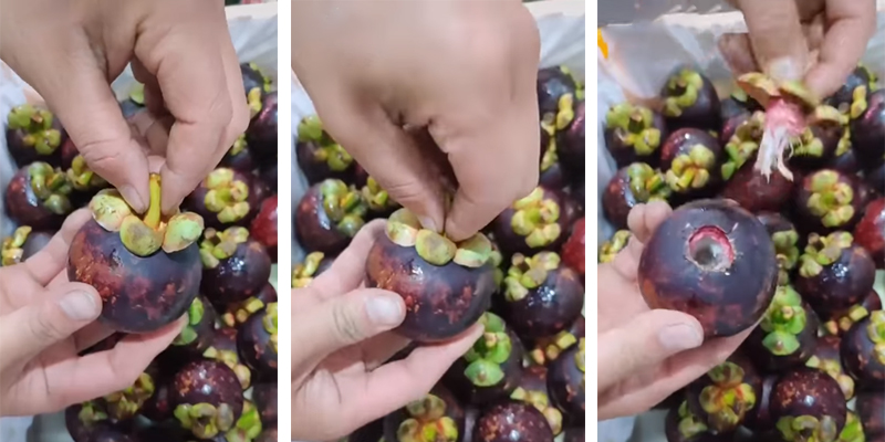 Bỏ túi ngay 2 cách bóc vỏ măng cụt 'nhanh như chớp' mà không cần dùng dao Cách bóc vỏ măng cụt nhanh