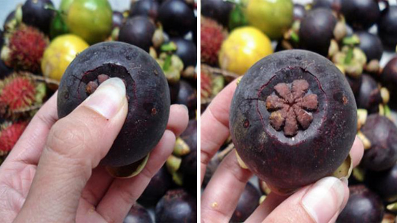 Use your fingers to lightly press the flower part to make it sink