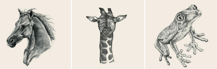 Tải 66 hình ảnh Animal 4D hình con vật Đầy Đủ nhất Link google drive   Thiệp cưới 88  Thế giới thiệp cưới Đẹp Sang Chảnh