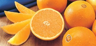 Chứng nhận nhập khẩu của cam vàng Valencia Ai Cập