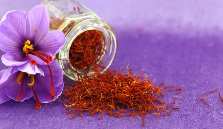 Nhụy hoa nghệ tây (Saffron) là gì? Các loại và cách phân biệt saffron thật giả