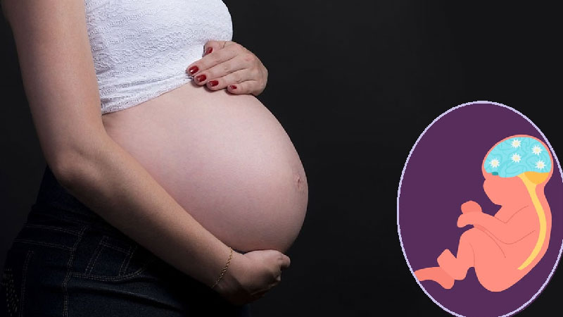Rau bina còn có nhiều lợi ích tốt cho sức khỏe người mẹ và sự phát triển của thai nhi.