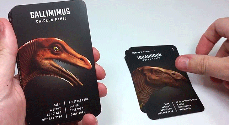 Flashcard dùng cho Dinosaur 4D+