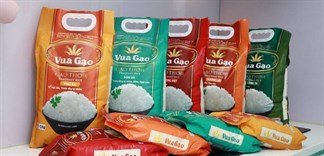 Các loại gạo ngon có giá độc quyền siêu rẻ tại Bách Hóa XANH