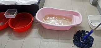 Cứ trời mưa là mái nhà lại dột, làm sao đây?