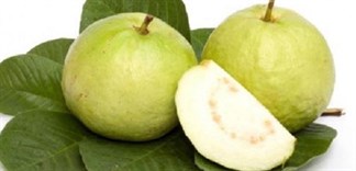 Chứng nhận đạt chuẩn an toàn thực phẩm của ổi