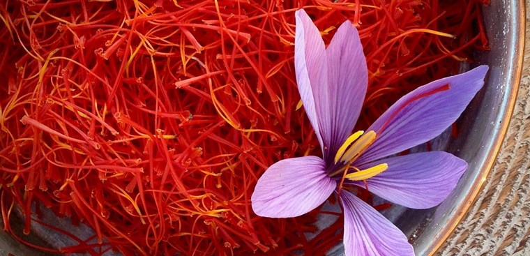 Có những cách sử dụng saffron để chăm sóc da như thế nào?
